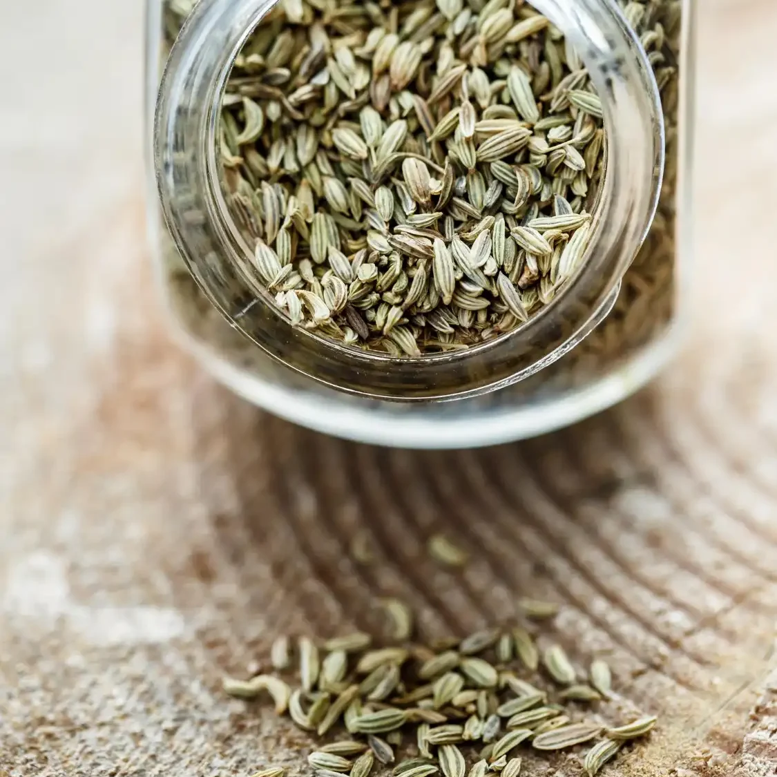 Fennel Seeds