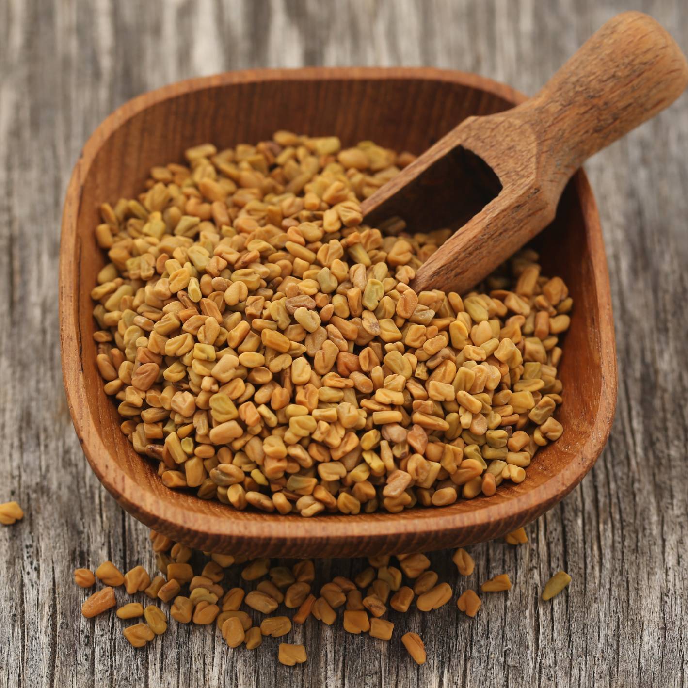 Fenugreek Seeds Enrich