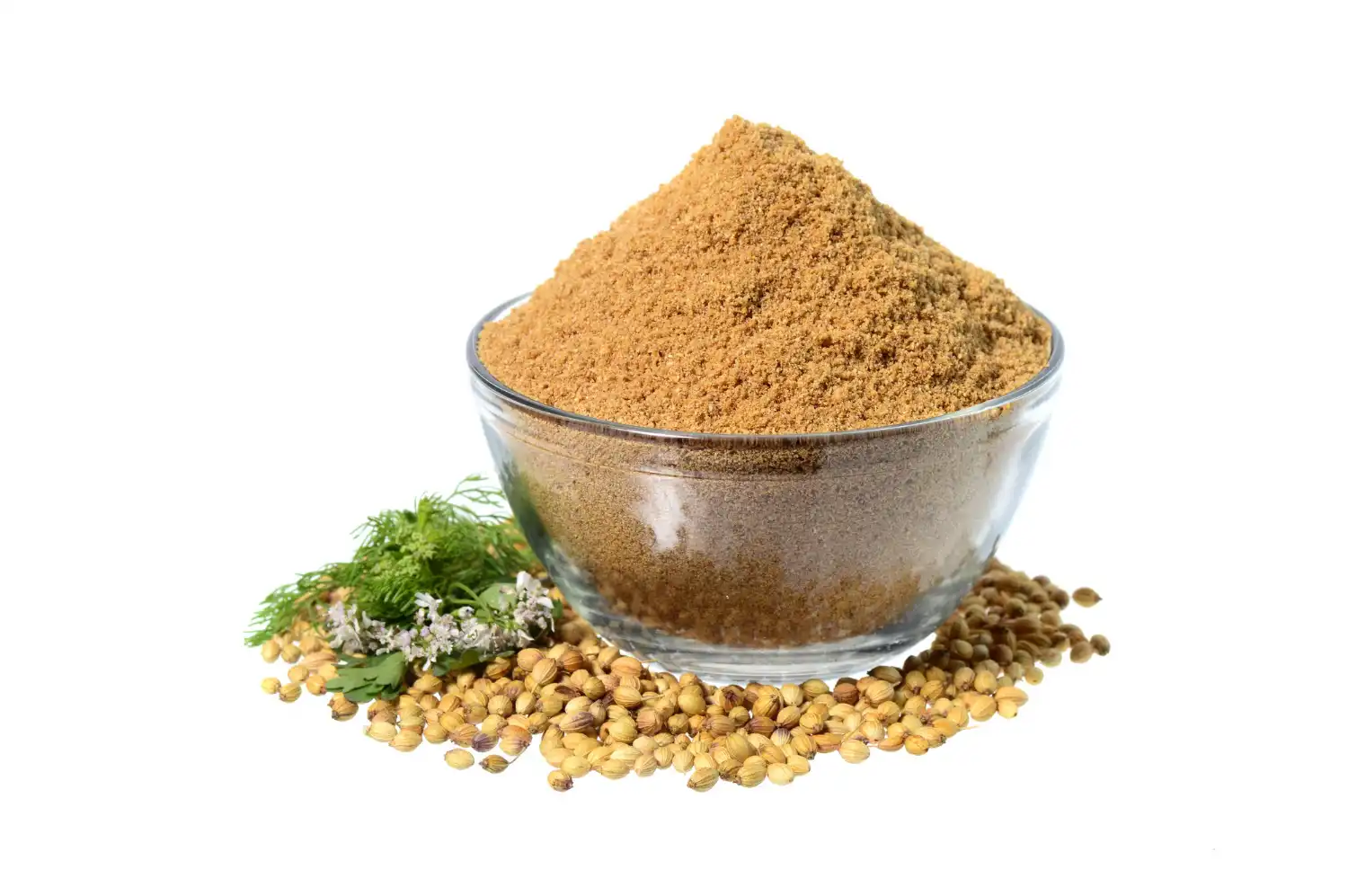 Coriander (Whole & Powder)