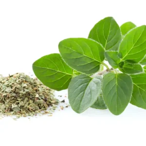 Oregano